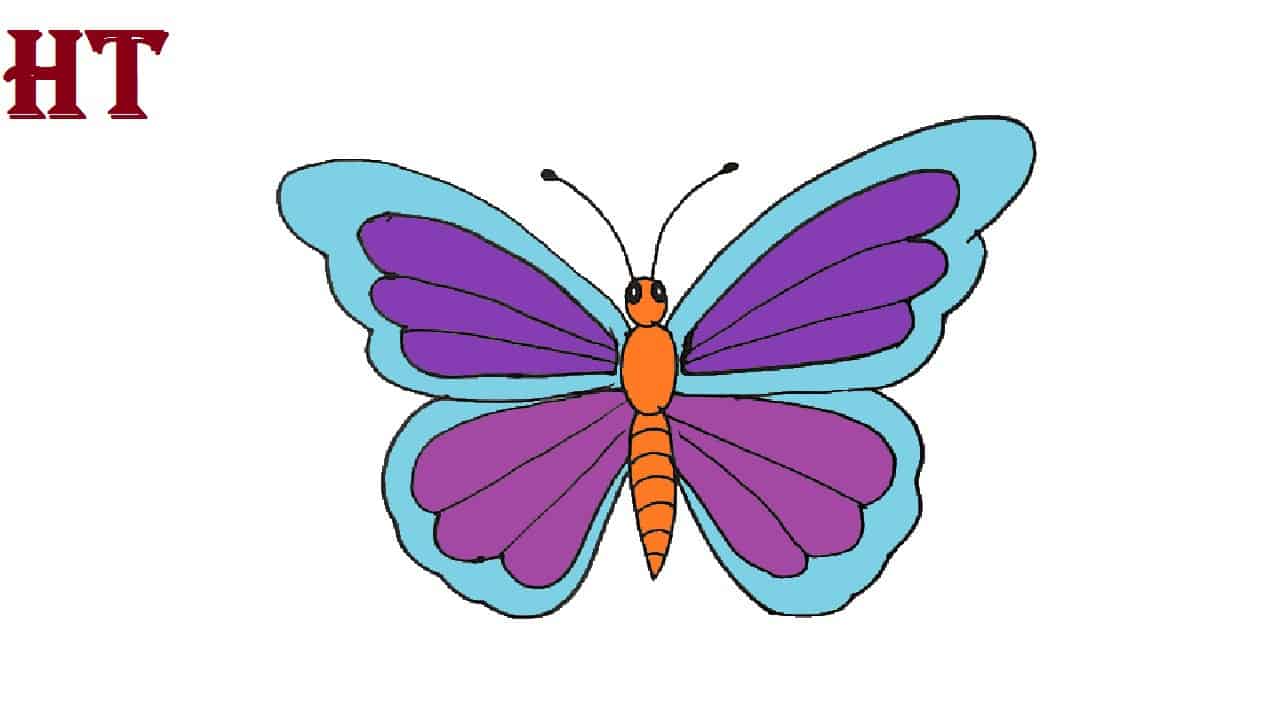 Butterfly to draw Step by step || How to draw a Butterfly easy for Beginners