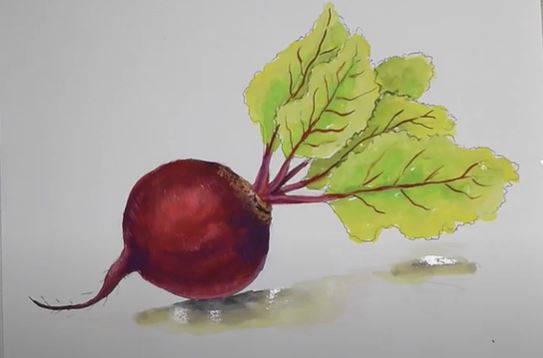 How to Draw a Beetroot Step by Step ||  Vegetables Drawing