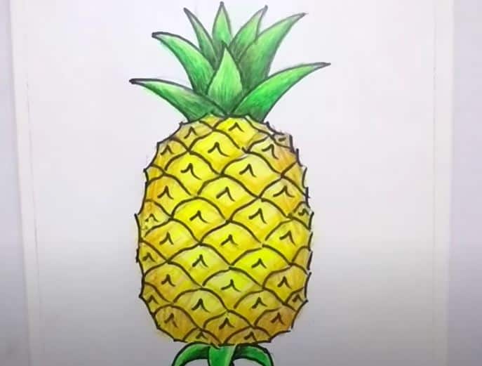 How to Draw a Pineapple Step by Step || Fruits Drawing Tutorial