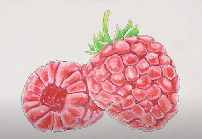 How to Draw a Raspberry Step by Step || Fruits Drawing Tutorial