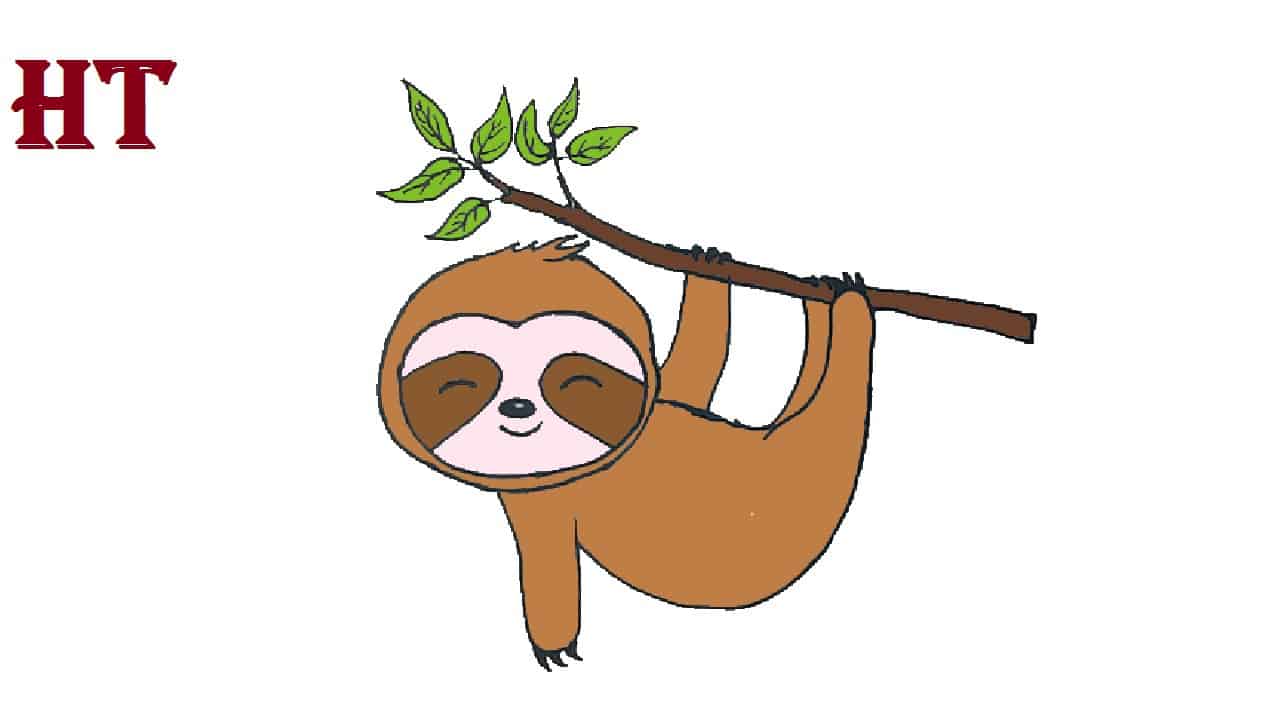 How to draw a Sloth Step by Step