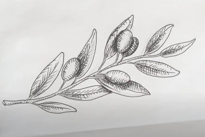 How to Draw Olives Step by Step || Fruits Drawing Tutorial