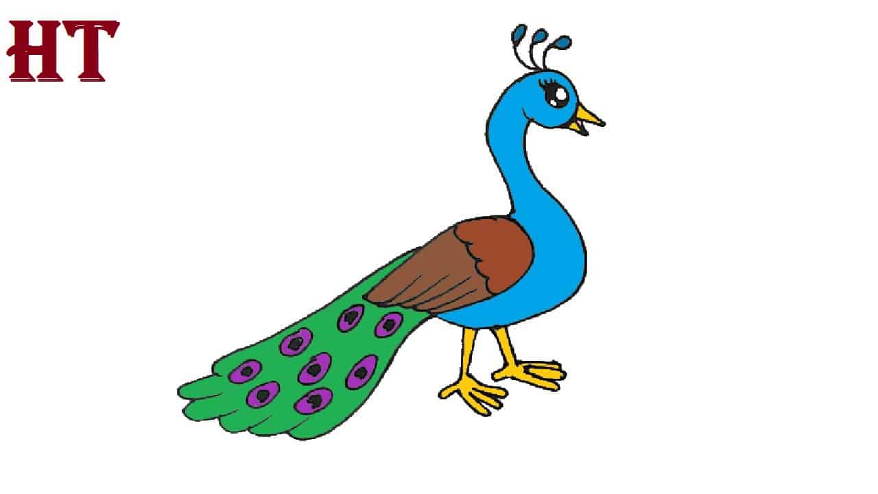 Drawing of Peacock Step by Step || How to draw a Peacock cute and easy
