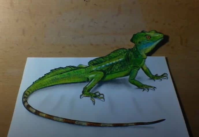 How to Draw a Basilisk Lizard || 3D animals Drawing