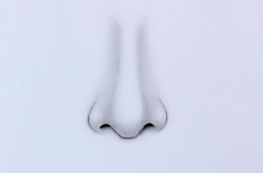 How to draw a nose with Pencil