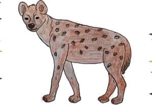 Hyena Drawing Easy Step by Step