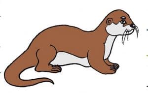 Otter Drawing easy Step by Step