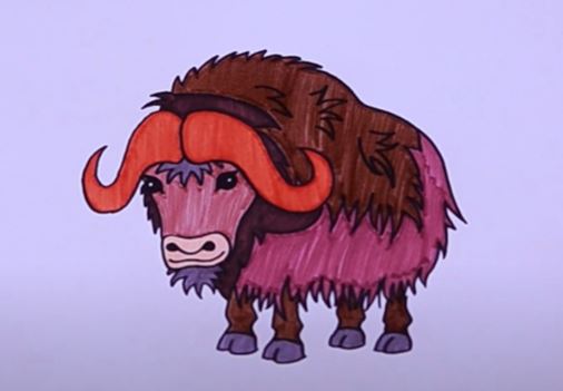 How to Draw a Muskox Step by Step
