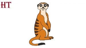 How to Draw a Meerkat
