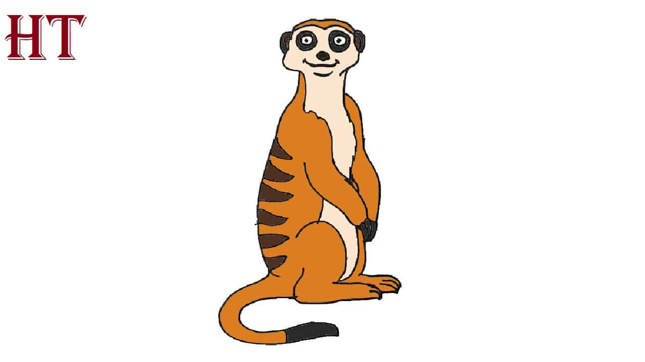 How to Draw a Meerkat Easy Step by Step