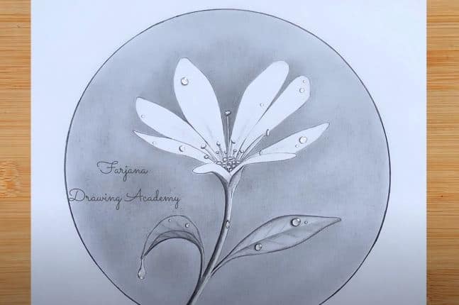 How to draw a Flower with dew drops