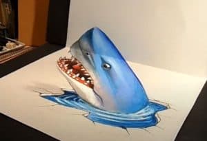 3D Shark Drawing