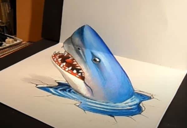 3D Shark Drawing with Pencil