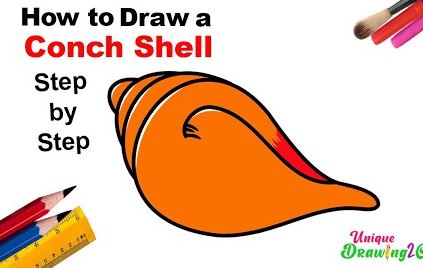 How to Draw a Conch Shell Step by Step