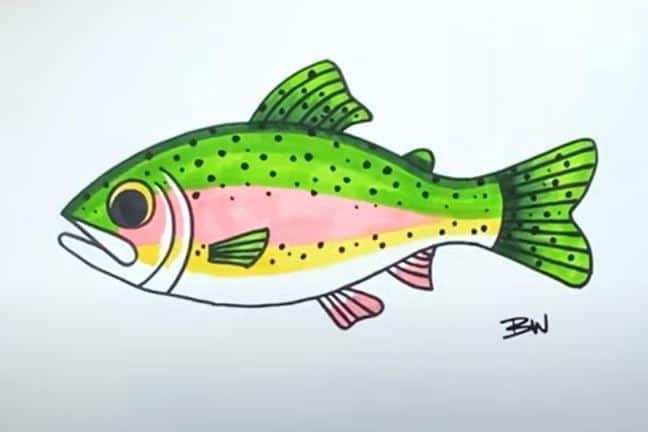 How to Draw a Trout Step by Step