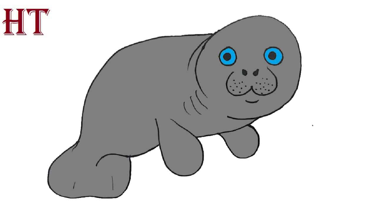 Dugong Drawing easy step by step for Beginners