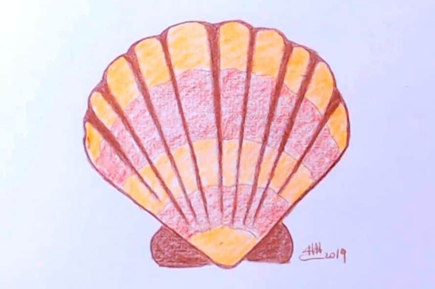 How to draw a seashell Step by Step