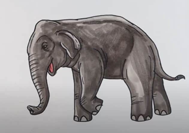 How to Draw a Asian Elephant