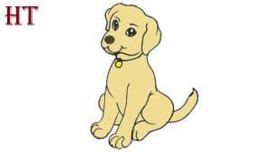 How to draw a labrador dog