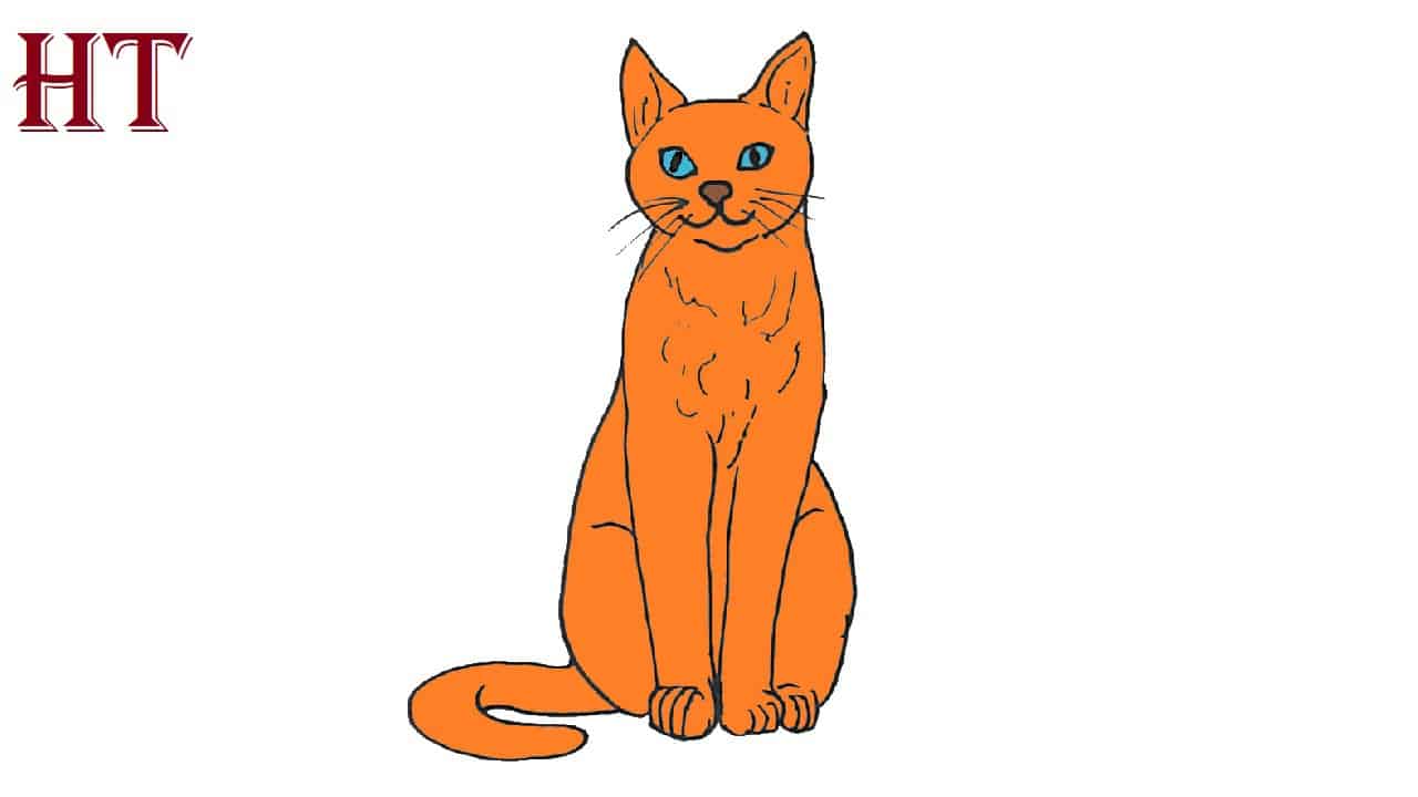 How to draw a sitting cat step by step