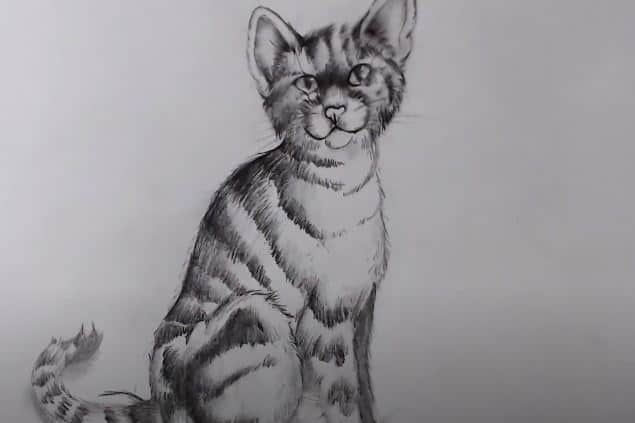 How to draw a sitting Cat with Pencil
