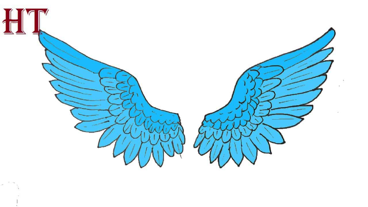 How to draw wings Step by Step