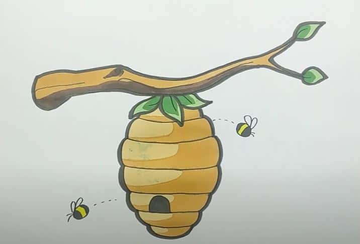 How To Draw A Beehive Step by Step