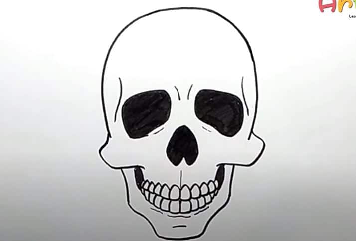 How to Draw A Skeleton Head Step by Step