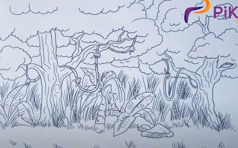 How To Draw A Jungle Step by Step