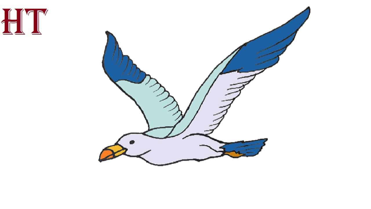 How To Draw A Seagull Flying Step by Step