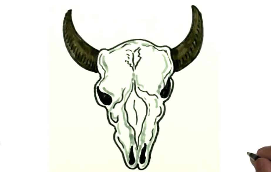 How To Draw A Bull Skull Step by Step