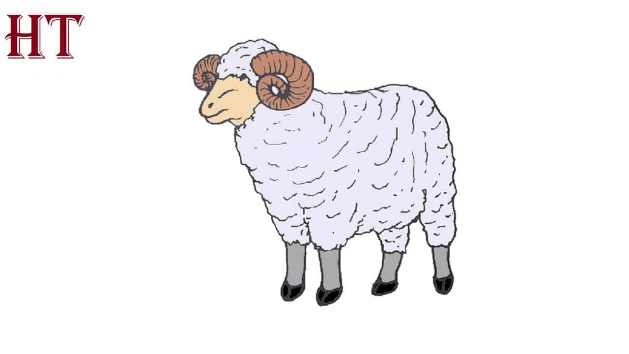 How To Draw A Ram Step by Step