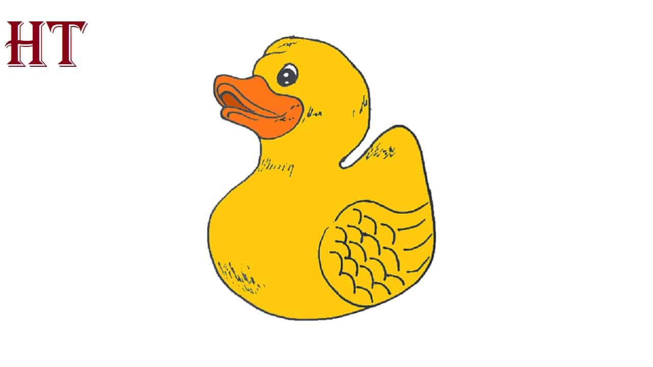 How To Draw A Rubber Duck Step by Step