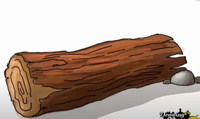 How to draw Wood Log Step by Step