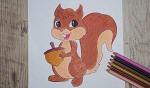 How To Draw A Cartoon Squirrel