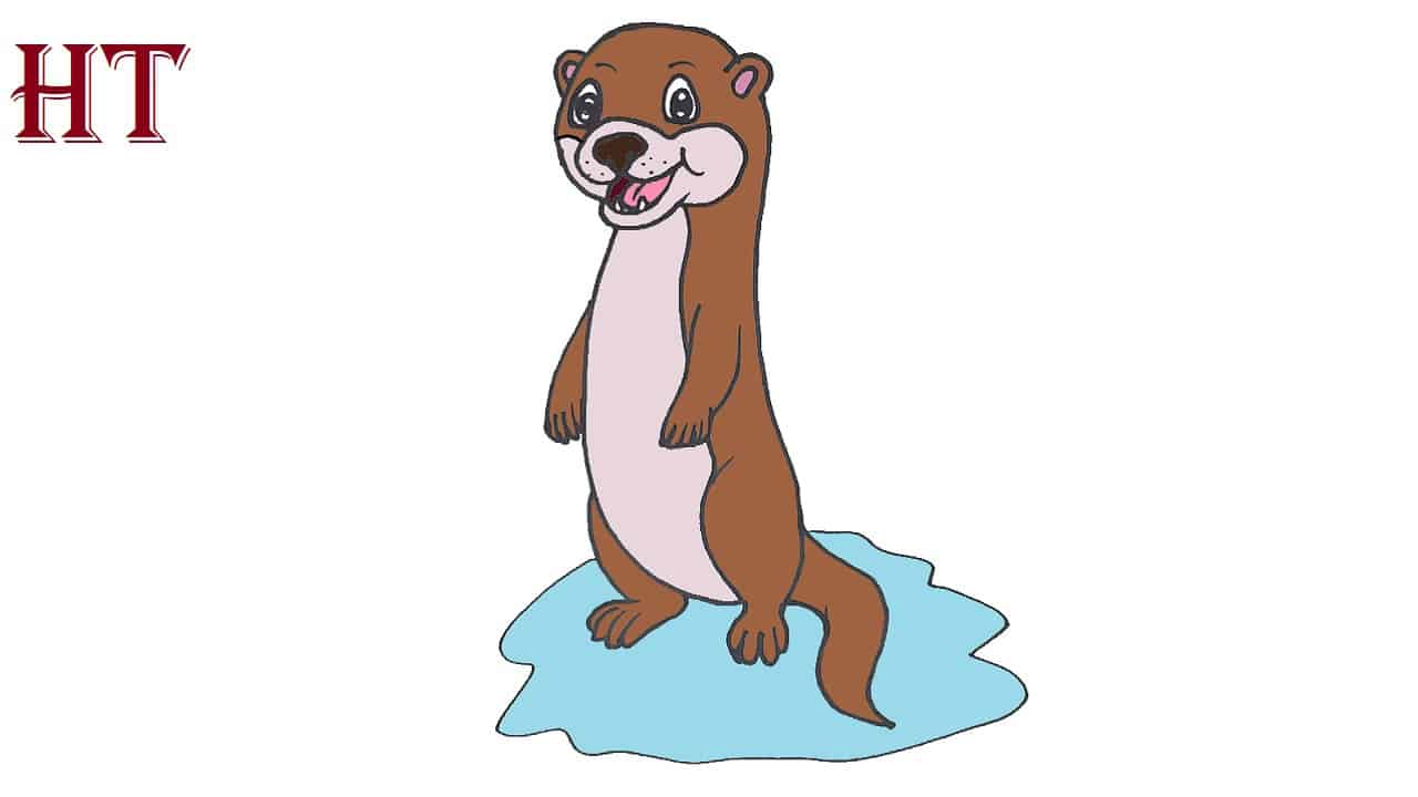 How To Draw A Sea Otter Step by Step