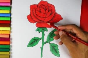 How To Draw A Simple Rose