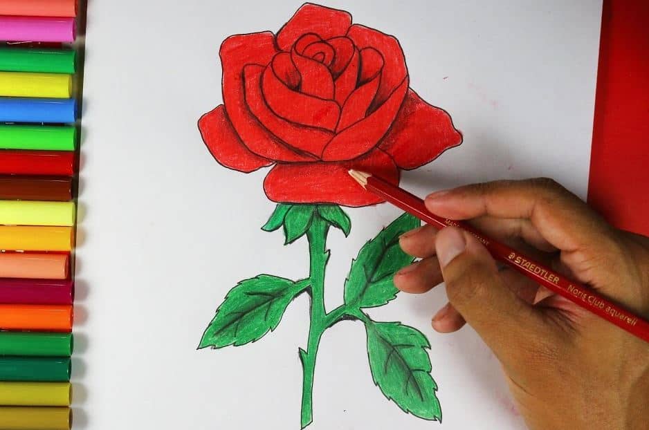 How To Draw A Simple Rose Step by Step