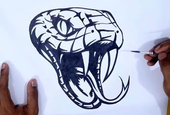 How To Draw A Snake Head Step by Step