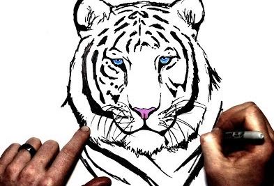How to Draw a White Tiger Step by Step