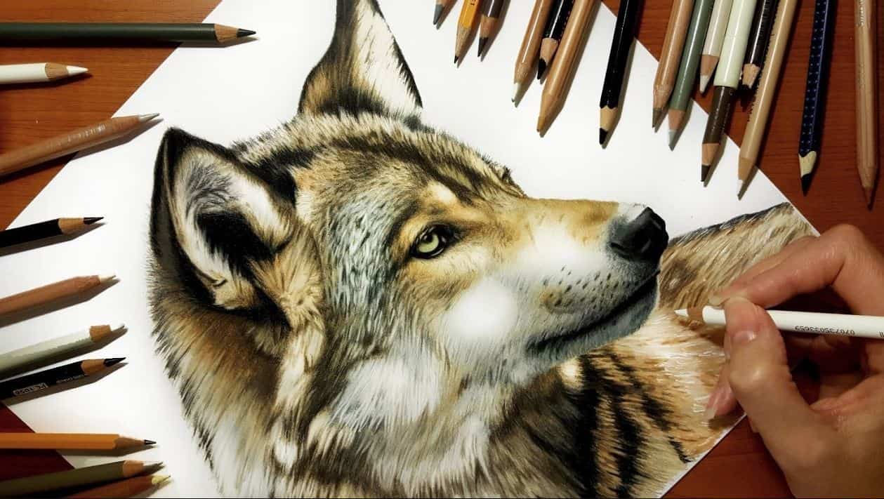 How To Draw A Wolf Head with Pencil