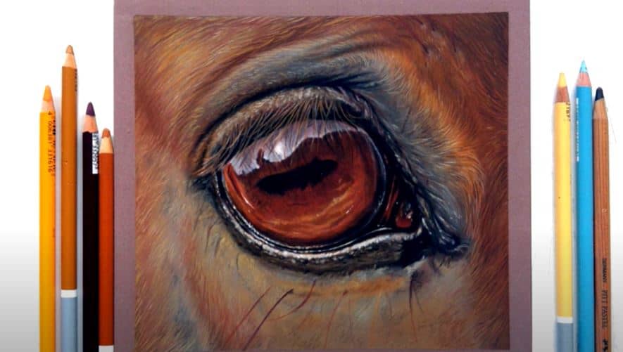 How To Draw Horse Eye with Pencil