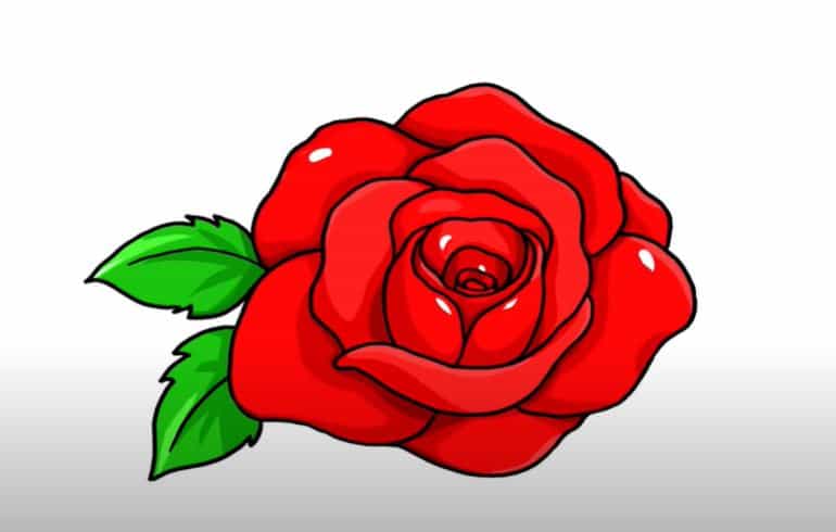 How to draw Rose Petals Step by Step