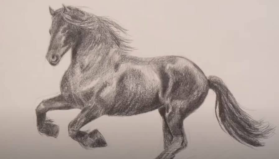 How To Draw A Mustang Horse Step by Step