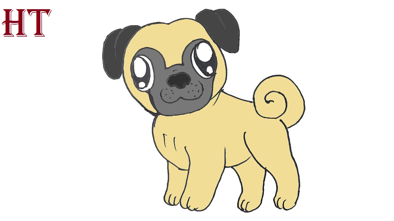 How to draw a Pug Dog Step by Step