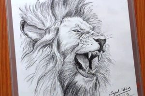 How To Draw A Lion Roaring