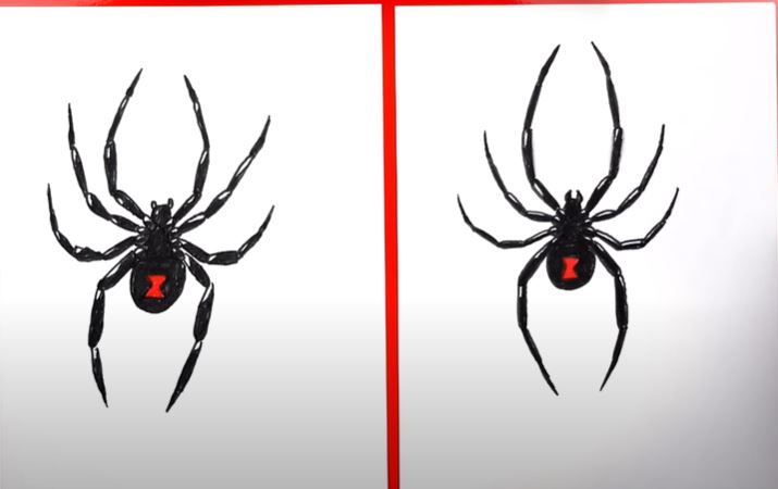 How To Draw A Black Widow Spider Step by Step