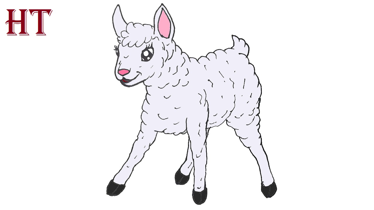 How to Draw a Cute Lamb Step by Step