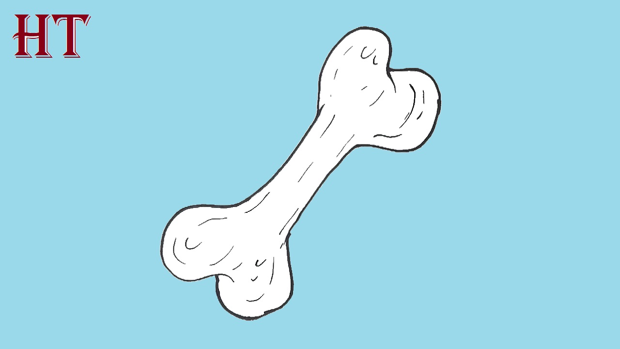 How to draw A Dog Bone Step by Step