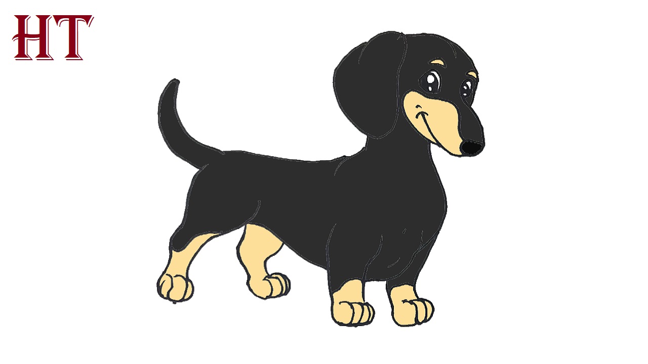 How to draw a Dachshund Step by Step || Simple Dog Drawing